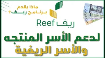 ما هي شروط التسجيل في دعم ريف للعاطلين reef.gov.sa
