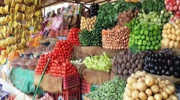 الكوسة بكام.. اسعار الخضروات والفاكهة اليوم الاثنين 27-11-2023 في الاسواق