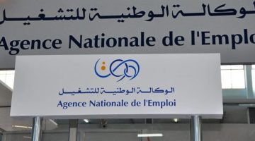 خبر سعيد لكل الجزائريين.. رابط التسجيل في منحة البطالة بالجزائر 2024 وشروط التقديم