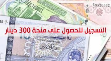 الشروط المطلوبة للحصول على منحة 300 دينار تونس 2024 وخطوات التسجيل eservices.social.tn