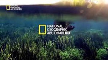 تردد قناة ناشيونال جيوغرافيك| عالم في البرامج الوثائقية.. كيفية تنزيلها على جميع الأقمار