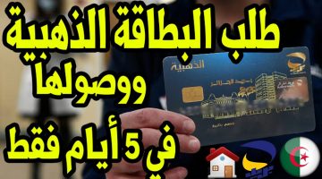 “من تطبيق ECCP” كيفية طلب البطاقة الذهبية في الجزائر 2024؟.. إليك رابط الطلب مباشرة