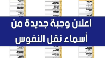 حمل كشوف أسماء نقل النفوس دفعة يناير 2024 PDF بالعراق