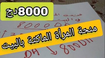 زيادة منحة المرأة الماكثة في البيت 8000 دينار في الجزائر 2024.. إليكِ الحقيقة