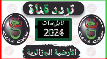 “Now and watch”.. تردد قناة الجزائرية الأرضية 2024 الناقلة لبطولة كأس الأمم الأفريقية