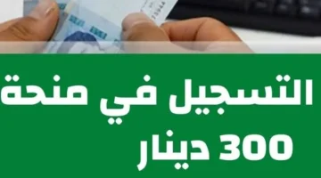 رابط التسجيل في منحة 300 دينار تونس والشروط والأوراق المطلوبة