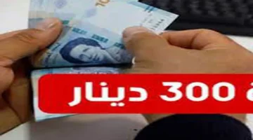 300 دينار.. رابط التسجيل في منحة تونس 2024 والشروط المطلوبة