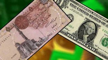 الأخضر داس على المصري.. سعر الدولار في البنوك والسوق السوداء يسجل 52 جنيه