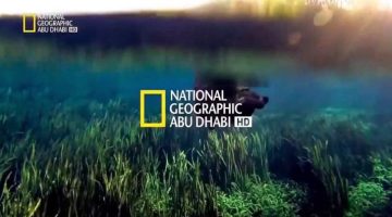 قناة ناشيونال جيوغرافيك الوثائقية في شكل جديد.. مغامرات برية وبحرية على مدار الساعة