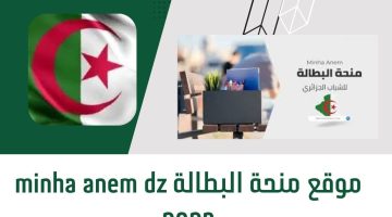 منحة البطالة 2024 في الجزائر.. سجل الآن للحصول على 17000 دينار شهريا