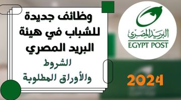 وظائف البريد المصري 2024.. ما هي الأوراق المطلوبة وكيفية التقديم لـ900 وظيفة؟