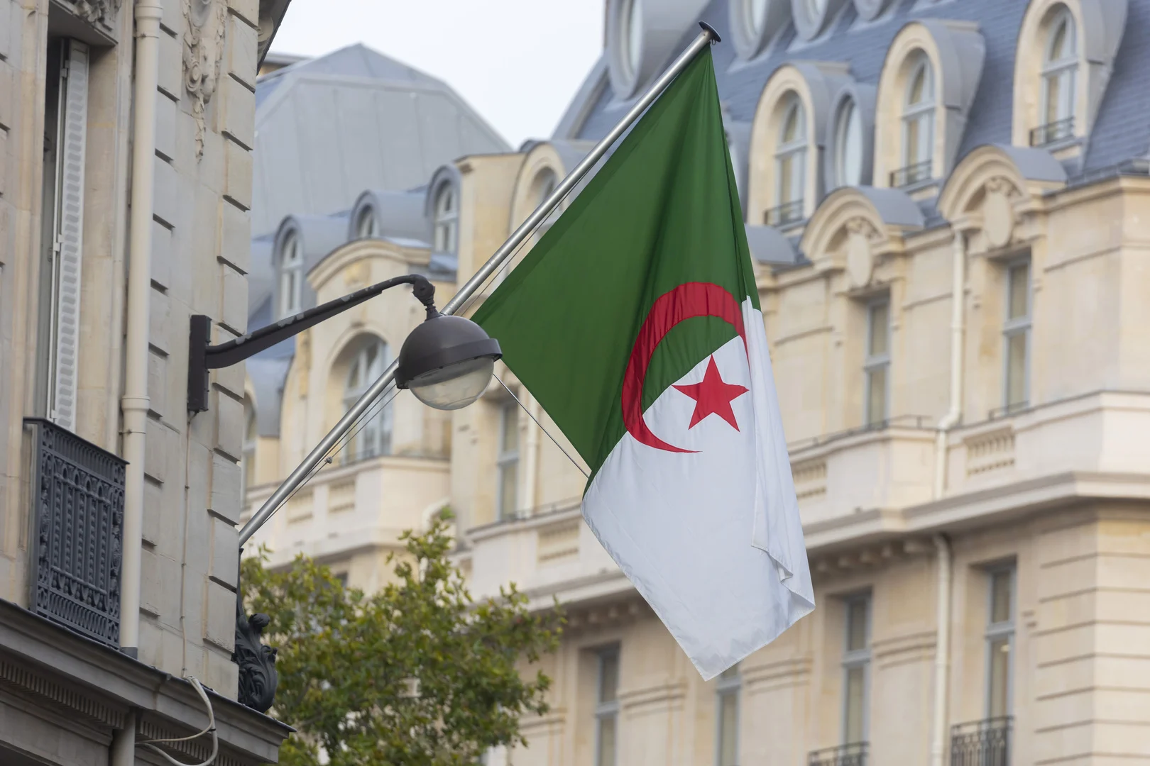 أسباب الرفض في منحة البطالة الجزائرية 2024 وطريقة التقديم الصحيحة