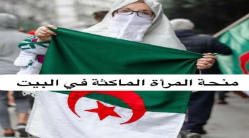 “تواً سجّل” منحة المرأة الماكثة في البيت الجزائر 2024 anem.dz إليكِ الشروط والخطوات
