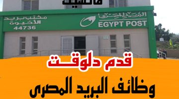 فرصة من ذهب.. لينك تقديم وظائف البريد المصري لكافة المؤهلات المطلوبة Egypt Post Jobs