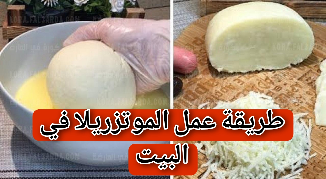 طريقة عمل الجبنة الموتزاريلا في المنزل