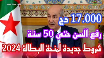 “قدمي فورا“ anem.dz شروط منحة البطالة في الجزائر 2024 وحقيقة رفع سن المنحة ل50 سنة