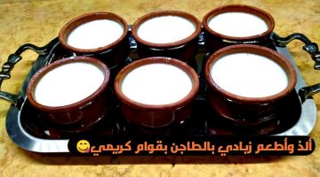 عشان سحور رمضان.. طريقه عمل الزبادى المتماسك فى البيت بخطوات بسيطة مش هتشترية من برة تانى