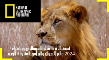 قناة ناشيونال جيوغرافيك National Geographic.. استقبل التردد الجديد 2024 على جميع الأقمار الصناعية
