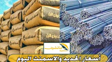 تعرف على أسعار الحديد والاسمنت في الأسواق والمصانع في مصر اليوم الاحد 25 فبراير 2024
