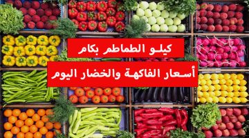 كيلو الطماطم بكام؟.. أسعار الخضار والفاكهة اليوم السبت 24 فبراير 2024 في الأسواق