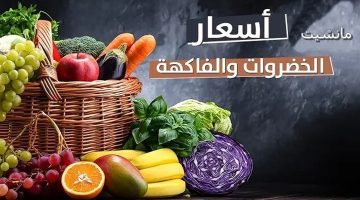 بكام البصل النهاردة؟.. أسعار الخضار والفاكهة اليوم الاثنين 19 فبراير 2024