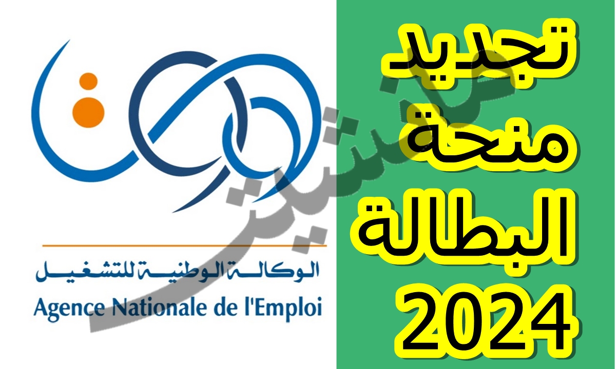 الوكالة الوطنية للتشغيل تعلنها.. شروط تجديد منحة البطالة 2024 الجزائر