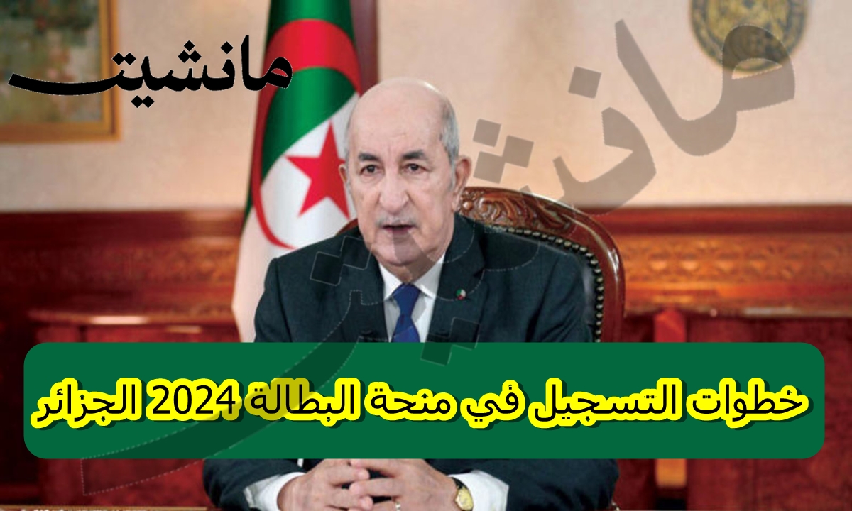 الشروط والمستندات المطلوبة.. خطوات التسجيل في منحة البطالة 2024 الجزائر