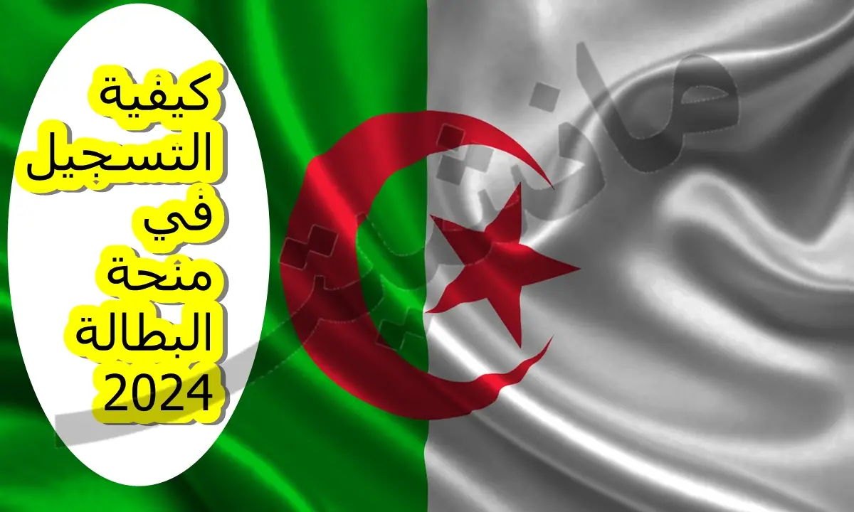 خطوات التسجيل في منحة البطالة 2024 الجزائر