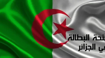 كيفية التسجيل في منحة البطالة الجزائرية 2024 وأهم المستندات والشروط اللازمة للحصول عليها