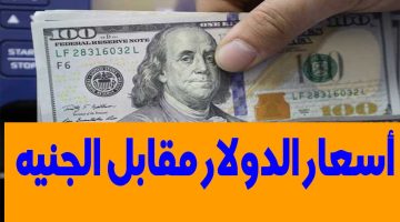 سعر الدولار مقابل الجنيه المصري اليوم الأربعاء 28/2/2024 في مستهل تعاملات جميع البنوك العاملة المصرية