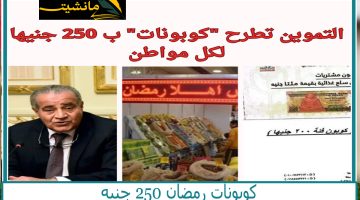 250 جنيه لكل مواطن.. كوبونات رمضان هدية الحكومة للمواطنين على بطاقات التموين في رمضان 2024