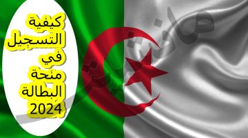 برابط مباشر.. كيفية التسجيل في منحة البطالة 2024 الجزائر وأهم الشروط