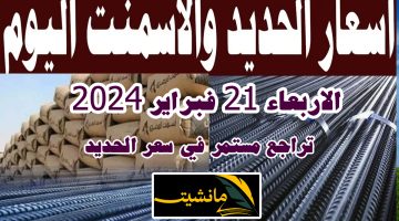 تراجع مستمر.. أسعار الحديد والأسمنت اليوم الأربعاء الموافق 21 فبراير 2024 بالأسواق والمصانع المصرية