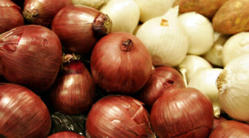 Two colors of onions e1600968897931