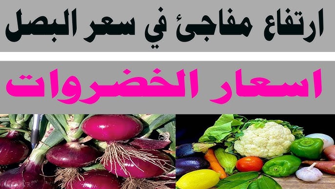 “يافرحة ماتمت”.. سعر البصل اليوم الخميس 21-11-2024 للتاجر والمستهلكين بالاسواق المصرية