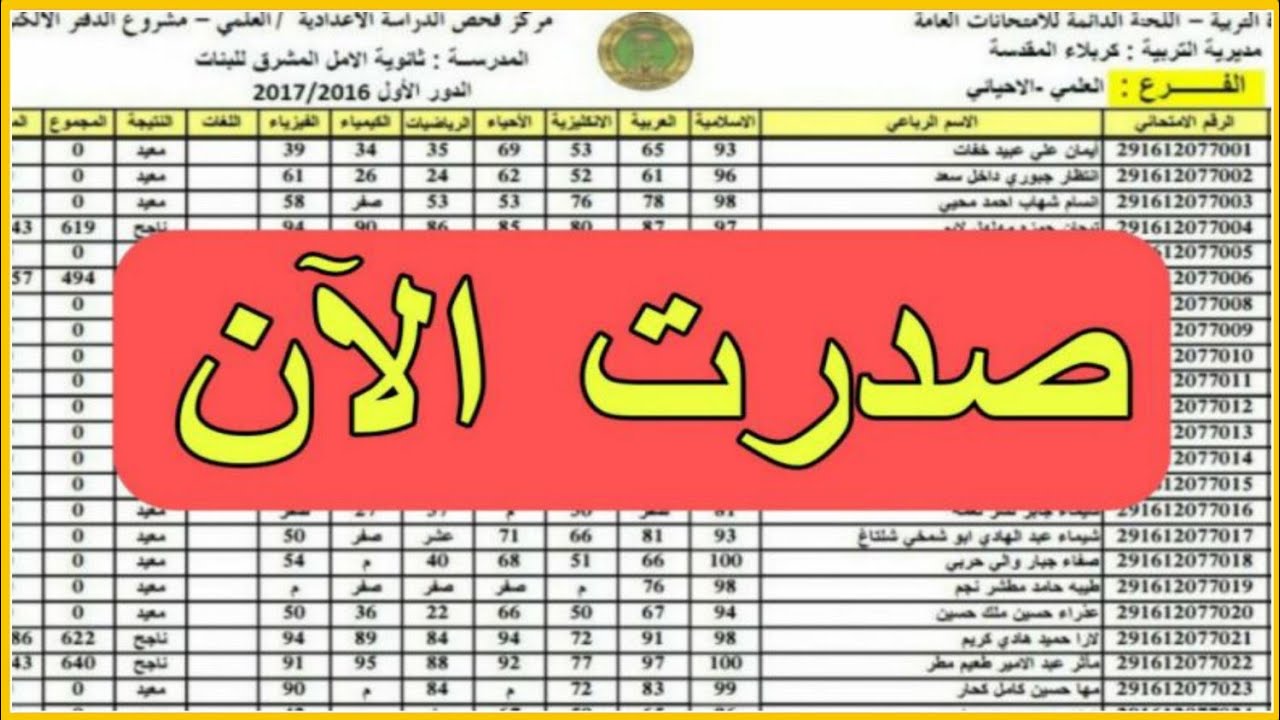 “الف مبرووك للناجحين” نتائج السادس الاعدادي الدور الثالث 2024 بالاسم والرقم الامتحاني عبر موقع وزارة التربية العراقية