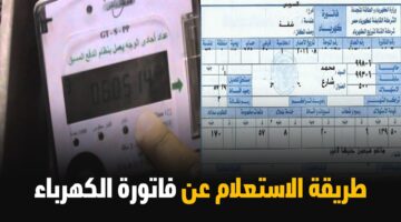 رابط الاستعلام عن فاتورة الكهرباء برقم العداد