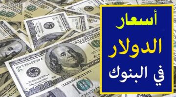 سعر الدولار الان رسميا في البنوك