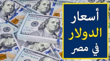 سعر الدولار اليوم مقابل الجنيه المصرى 1