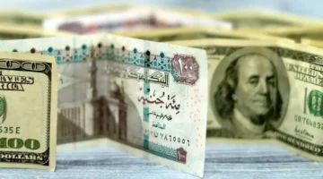 سعر الدولار اليوم مقابل الجنيه المصرى