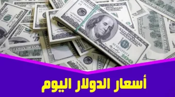 سعر الدولار اليوم مقابل الجنيه المصري 1