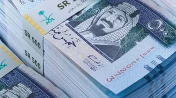 سعر الريال السعودي اليوم في البنك الأهلي 11 نوفمبر 2024