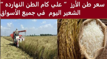 سعر طن الأرز الشعير اليوم 1