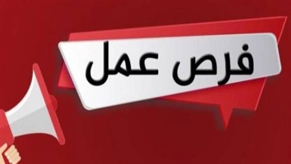 رواتب تصل لـ 10500 جنيه.. وزارة الشباب تعلن عن وظائف خالية بإحدى الشركات