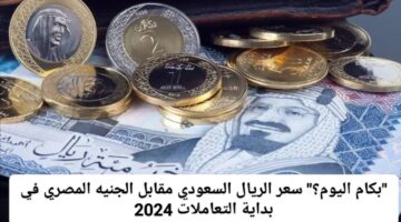 ارتفاع سعر الريال السعودي مقابل الجنيه المصري اليوم.الأحد 15 ديسمبر 2024 في السوق الموازية والبنوك