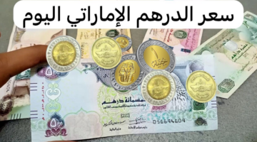 سعر الدرهم الإماراتي مقابل الجنيه المصري 1