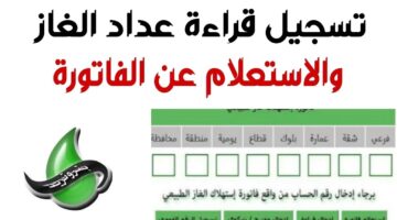 عداد الغاز بتروتريد ٢٠٢٤