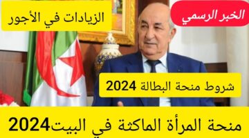 منحة المرأة الماكثة في البيت 2