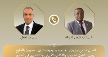 وزير الخارجية يؤكد لنظيره التشادى دعم مصر لجهود بلاده للحفاظ على الأمن