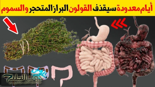 لو انت محظوظ هتعرف كل دة .. طريقة طبيعية لتنظيف القولون والبراز المتحجر بدون طبيب طريقة آمنة ومضمونة 100%